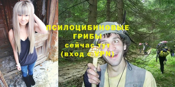 амф Алзамай