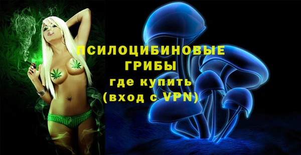 амф Алзамай
