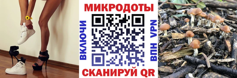 Псилоцибиновые грибы Psilocybe мориарти состав Богучар